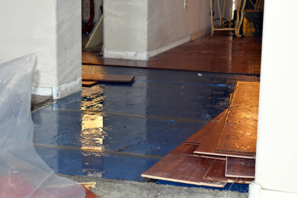 Professional Burst Pipe Water Damage technician working in Pendleton, KY